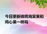 今日更新锦绣海棠果和鸡心果一样吗