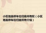小区地面停车位归谁所有权（小区地面停车位归谁所有介绍）