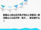 歌曲山上的山花开我才到山上来歌词（歌词是山上山花开呀．我才…．歌名是什么）