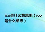 ico是什么意思呢（ico是什么意思）