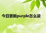 今日更新purple怎么读
