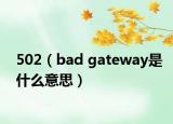 502（bad gateway是什么意思）
