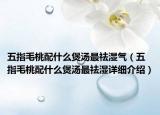 五指毛桃配什么煲汤最祛湿气（五指毛桃配什么煲汤最祛湿详细介绍）