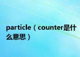 particle（counter是什么意思）