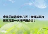 金银花能连续泡几天（金银花隔夜还能再泡一次吗详细介绍）