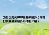 为什么打死蟑螂会越来越多（蟑螂打死会越来越多吗详细介绍）