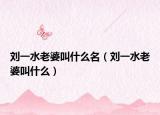 刘一水老婆叫什么名（刘一水老婆叫什么）