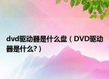 dvd驱动器是什么盘（DVD驱动器是什么?）