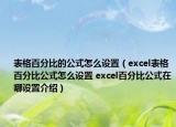 表格百分比的公式怎么设置（excel表格百分比公式怎么设置 excel百分比公式在哪设置介绍）