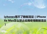 iphonex用不了数据流量（iPhoneXs Max怎么禁止应用使用数据流量）