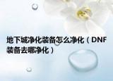 地下城净化装备怎么净化（DNF装备去哪净化）