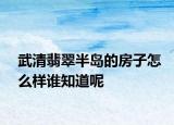 武清翡翠半岛的房子怎么样谁知道呢