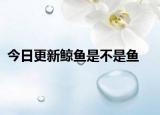 今日更新鲸鱼是不是鱼