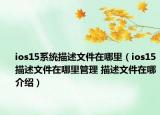 ios15系统描述文件在哪里（ios15描述文件在哪里管理 描述文件在哪介绍）