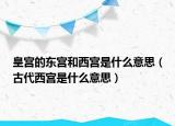 皇宫的东宫和西宫是什么意思（古代西宫是什么意思）