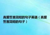 真爱誓言简短的句子英语（真爱誓言简短的句子）