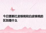 今日更新红皮核桃和白皮核桃的区别是什么