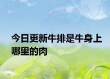 今日更新牛排是牛身上哪里的肉