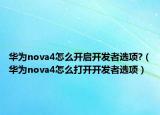 华为nova4怎么开启开发者选项?（华为nova4怎么打开开发者选项）