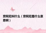 京阿尼叫什么（京阿尼是什么意思啊）