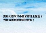 贵州大薏米和小薏米有什么区别（为什么贵州的薏米比较好）