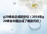 g20峰会达成的协议（2014年g20峰会中国达成了哪些共识）