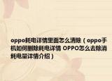 oppo耗电详情里面怎么清除（oppo手机如何删除耗电详情 OPPO怎么去除消耗电量详情介绍）