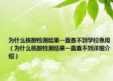 为什么核酸检测结果一直查不到学校急用（为什么核酸检测结果一直查不到详细介绍）
