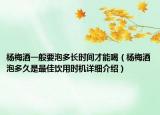 杨梅酒一般要泡多长时间才能喝（杨梅酒泡多久是最佳饮用时机详细介绍）