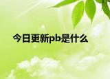 今日更新pb是什么
