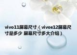 vivo11屏幕尺寸（vivos12屏幕尺寸是多少 屏幕尺寸多大介绍）