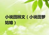 小说田园文（小说田箩姑娘）