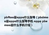 pbftoo是oppo什么型号（pbdmoo是oppo什么型号手机 oppo pbemoo是什么手机介绍）