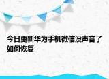 今日更新华为手机微信没声音了如何恢复