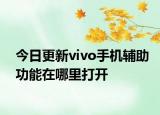 今日更新vivo手机辅助功能在哪里打开