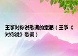 王筝对你说歌词的意思（王筝《对你说》歌词）