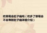 吃草莓会肚子痛吗（吃多了草莓会不会导致肚子痛详细介绍）