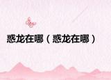 惑龙在哪（惑龙在哪）