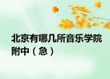 北京有哪几所音乐学院附中（急）
