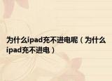 为什么ipad充不进电呢（为什么ipad充不进电）