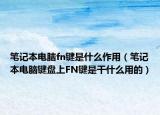 笔记本电脑fn键是什么作用（笔记本电脑键盘上FN键是干什么用的）