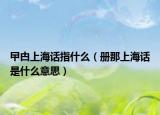 曱甴上海话指什么（册那上海话是什么意思）