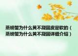 蒸螃蟹为什么黄不凝固皮是软的（蒸螃蟹为什么黄不凝固详细介绍）