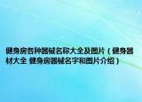 健身房各种器械名称大全及图片（健身器材大全 健身房器械名字和图片介绍）