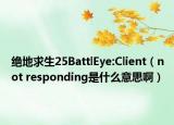 绝地求生25BattlEye:Client（not responding是什么意思啊）