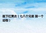 脱下红黄衣（七八个兄弟 猜一个动物）