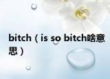 bitch（is so bitch啥意思）