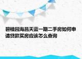 碧桂园海昌天蓝一期二手房如何申请贷款买房应该怎么查询
