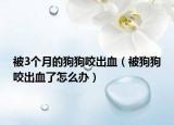被3个月的狗狗咬出血（被狗狗咬出血了怎么办）