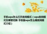 手机wps怎么打开夜间模式（wps夜间模式在哪里切换 手机版wps怎么调夜间模式介绍）